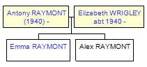 Mini tree diagram