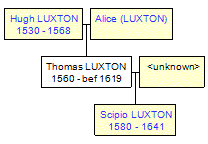 Mini tree diagram