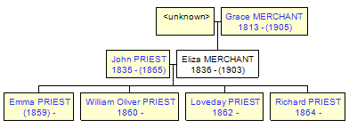 Mini tree diagram