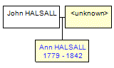 Mini tree diagram