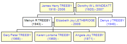 Mini tree diagram