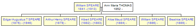 Mini tree diagram