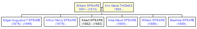 Mini tree diagram