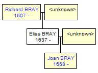 Mini tree diagram