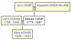 Mini tree diagram