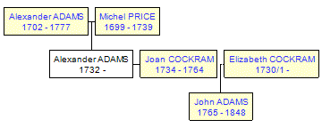 Mini tree diagram