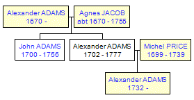 Mini tree diagram