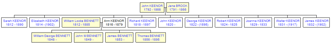 Mini tree diagram