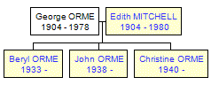 Mini tree diagram