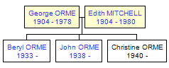 Mini tree diagram