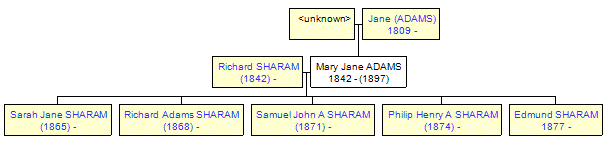 Mini tree diagram