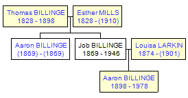 Mini tree diagram