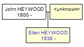 Mini tree diagram