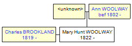 Mini tree diagram