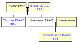 Mini tree diagram