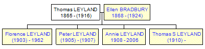 Mini tree diagram