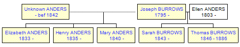 Mini tree diagram