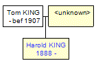 Mini tree diagram