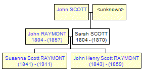 Mini tree diagram