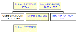 Mini tree diagram