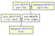 Mini tree diagram