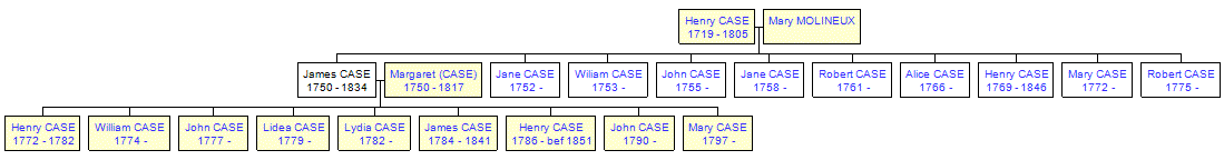 Mini tree diagram