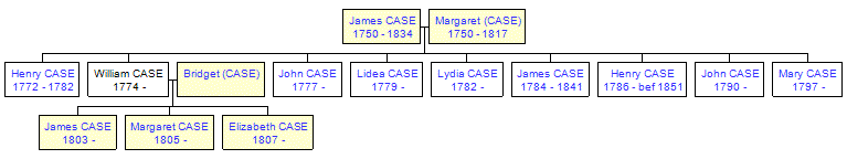 Mini tree diagram