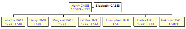 Mini tree diagram