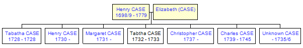 Mini tree diagram