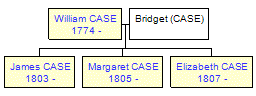 Mini tree diagram