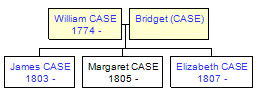 Mini tree diagram