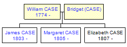 Mini tree diagram