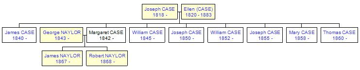 Mini tree diagram