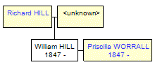 Mini tree diagram