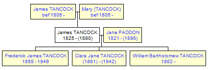 Mini tree diagram