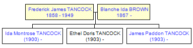 Mini tree diagram