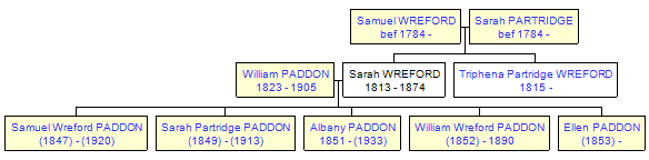 Mini tree diagram