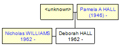 Mini tree diagram