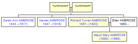 Mini tree diagram