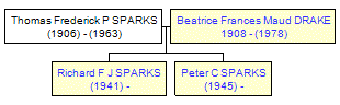 Mini tree diagram