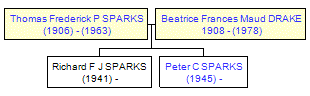 Mini tree diagram