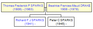 Mini tree diagram