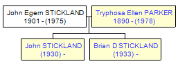 Mini tree diagram