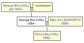 Mini tree diagram