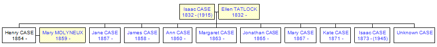 Mini tree diagram