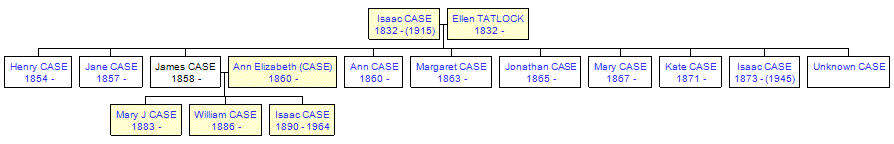 Mini tree diagram