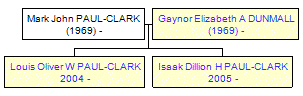 Mini tree diagram