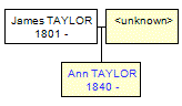 Mini tree diagram