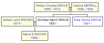 Mini tree diagram