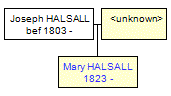 Mini tree diagram